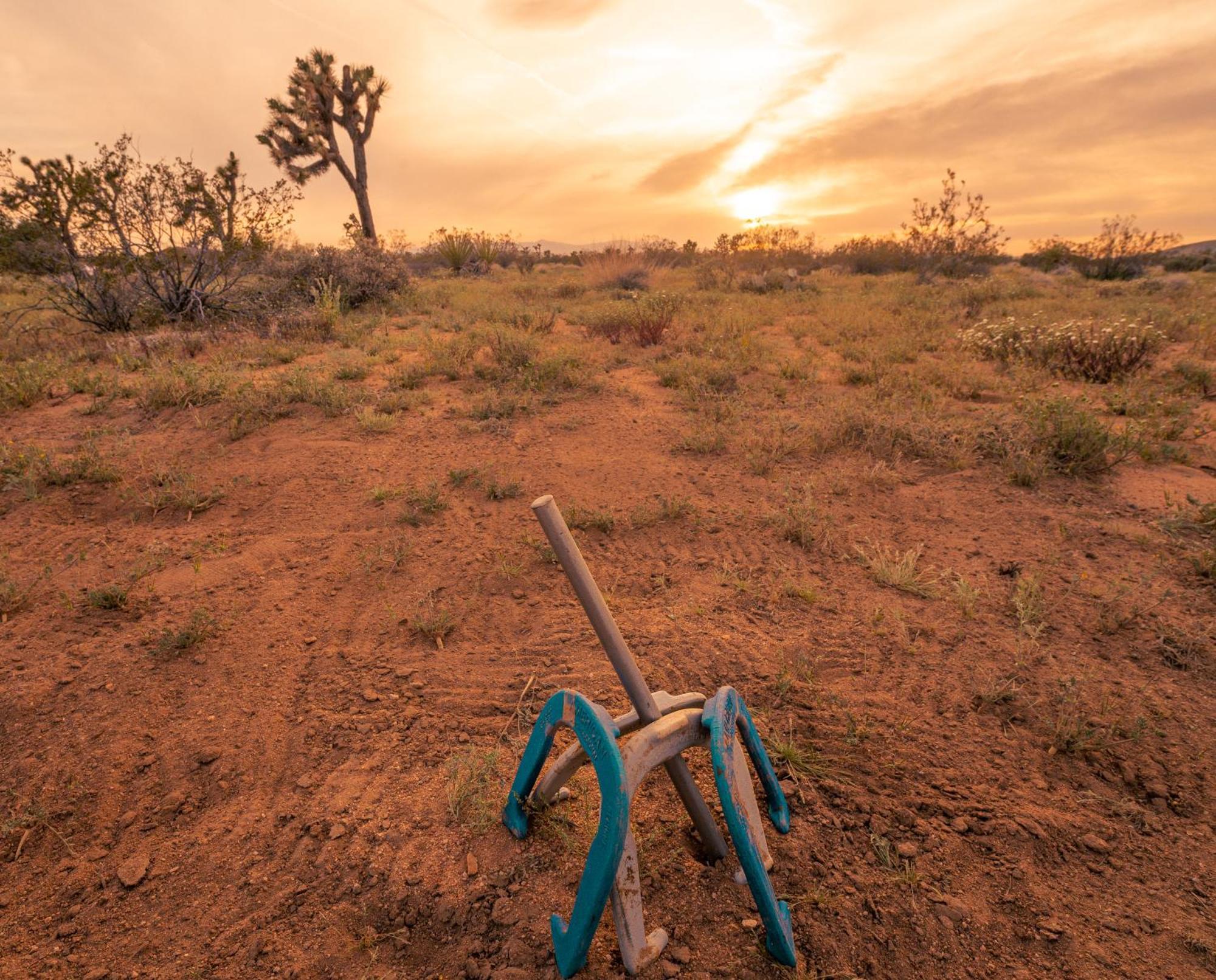 Coyote Tracks - A Modern Desert Experience Villa Joshua Tree Exterior foto